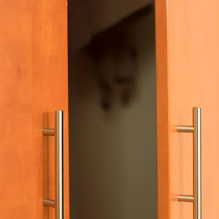 Beautiful View Of Center Apartment *