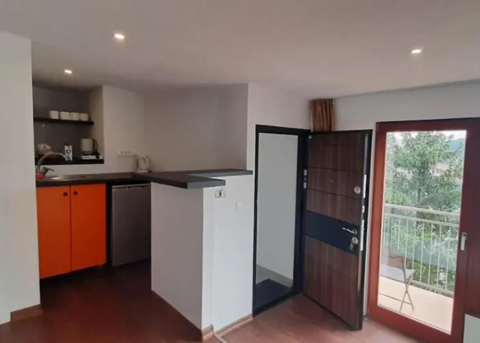 萨拉热窝中心美景公寓 *