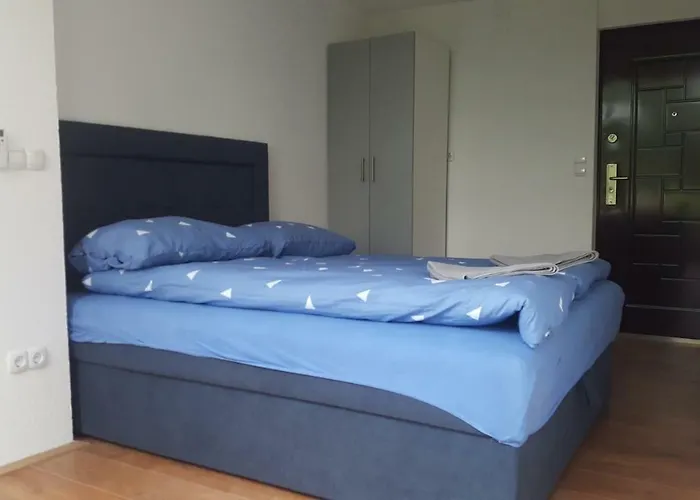 萨拉热窝中心美景公寓