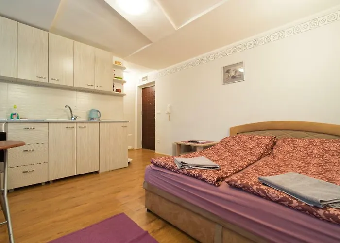 萨拉热窝中心美景公寓 *