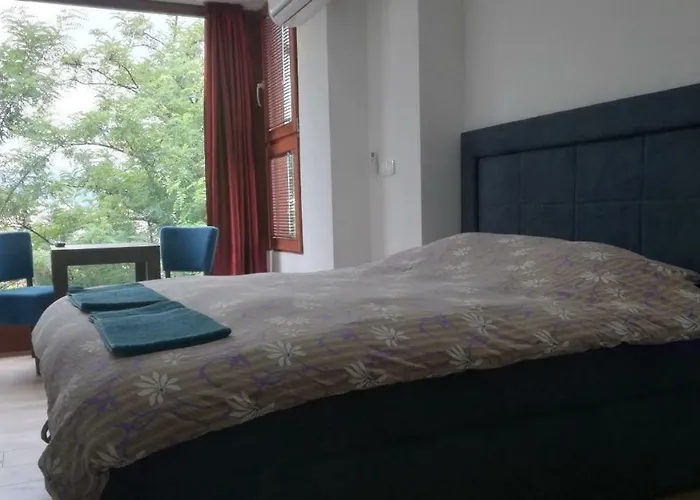 萨拉热窝中心美景公寓 公寓 *