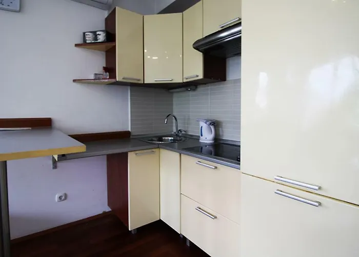 公寓 萨拉热窝中心美景公寓 塞拉耶佛