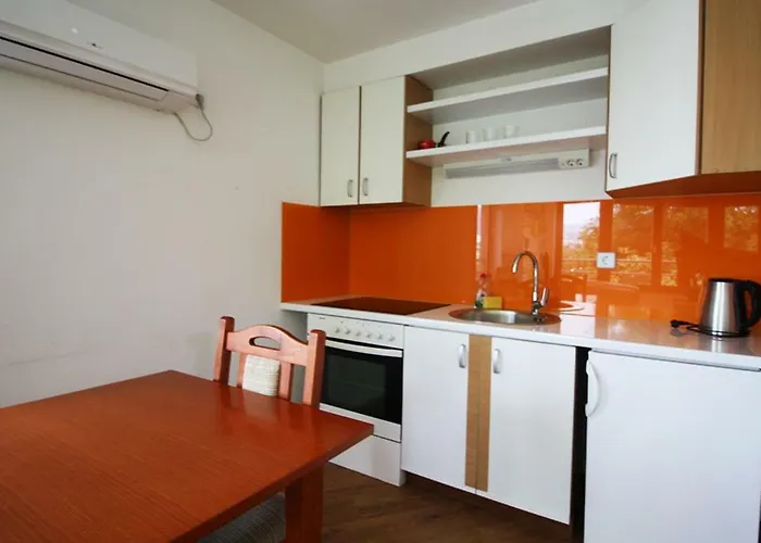 公寓 萨拉热窝中心美景公寓 *