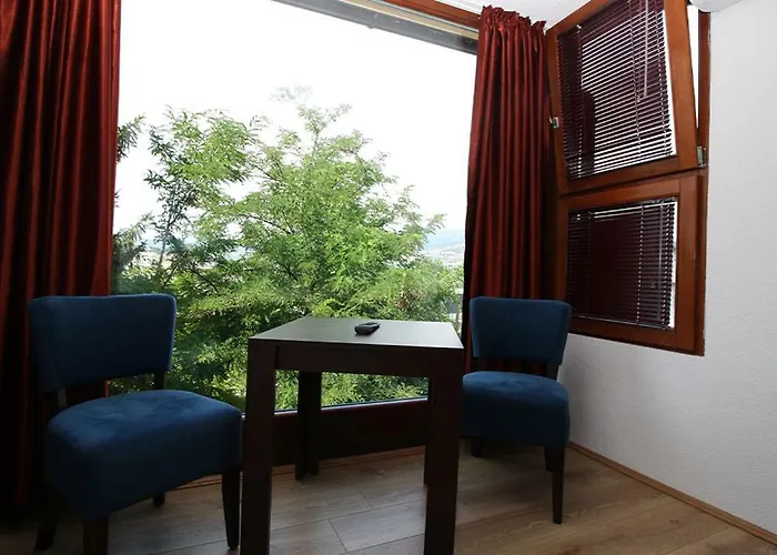 萨拉热窝中心美景公寓