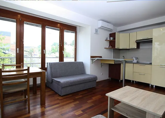 公寓 萨拉热窝中心美景公寓 *