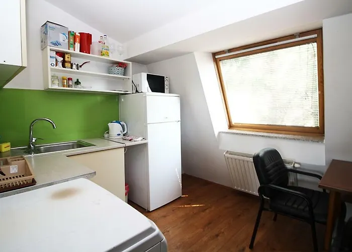 公寓 萨拉热窝中心美景公寓 *