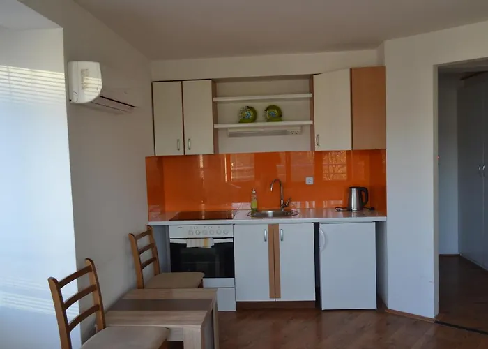 萨拉热窝中心美景公寓 *