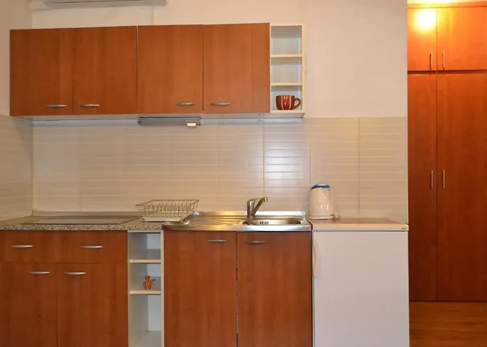 萨拉热窝中心美景公寓 公寓