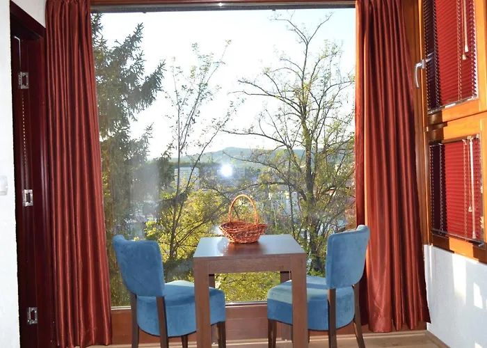 萨拉热窝中心美景公寓 *